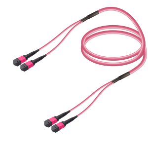 Samm Teknoloji - 2xMTP-2xMTP Multi-mode Breakout Samm Teknoloji - 2xMTP-2xMTP Multi-mode Breakout