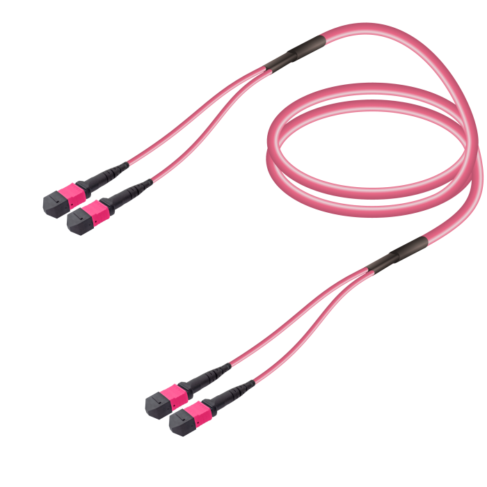 2xMTP-2xMTP Multi-mode Breakout 2xMTP-2xMTP Multi-mode Breakout