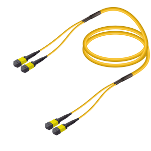 2xMTP-2xMTP Single-mode Breakout - Thumbnail
