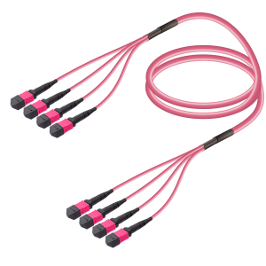 4xMTP-4xMTP Multi-mode Breakout