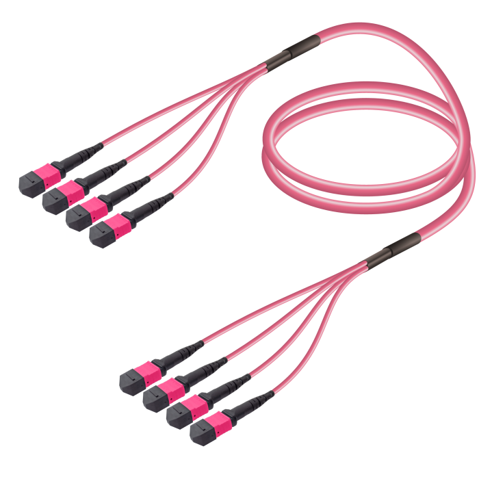 4xMTP-4xMTP Multi-mode Breakout