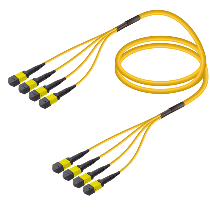 4xMTP-4xMTP Single-mode Breakout