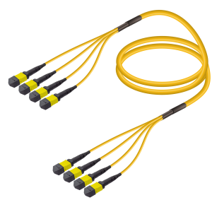 4xMTP-4xMTP Single-mode Breakout