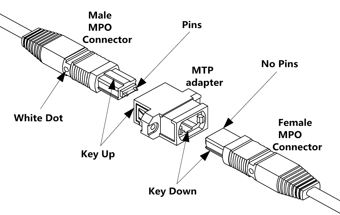 Connecting MPO-MTP Connectors with Female-Male Adapter