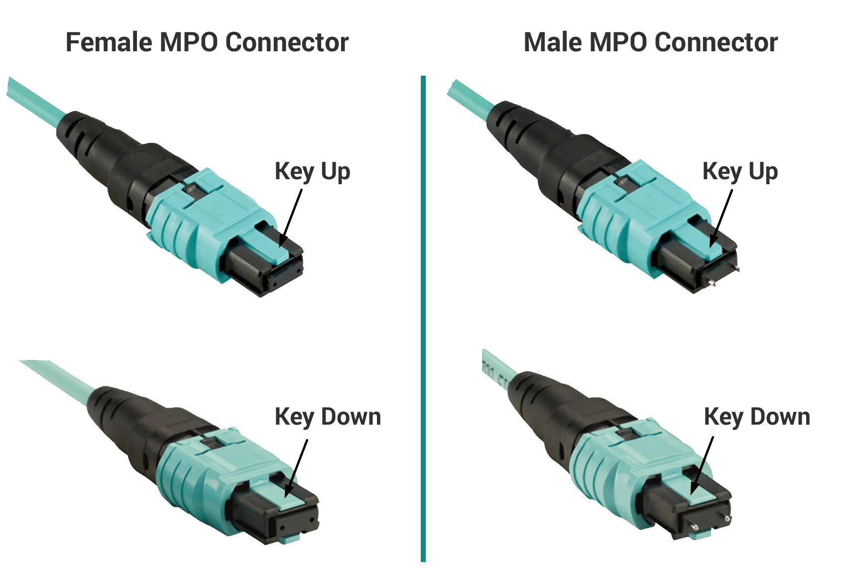 Male and Female MPO/MTP Connectors