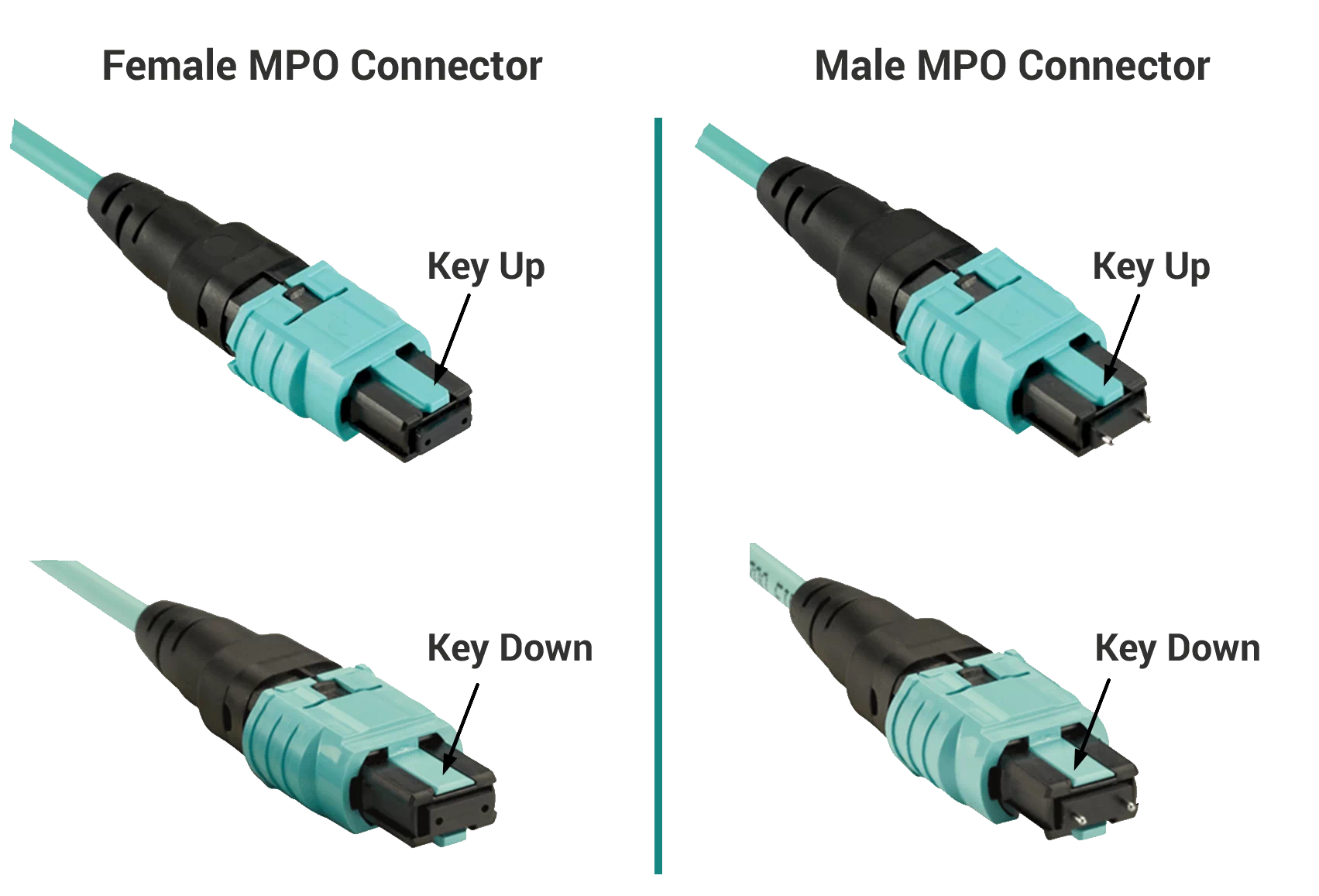 Connectors female male. MTP/MPO коннектор. Разъем MPO/MTP. Разъем MPO male. Тип коннектора: MPO.