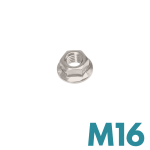 - FDS_DIN 6923 Galvanized Steel M16 Flanged Nut Kit of 1  - FDS_DIN 6923 Galvanized Steel M16 Flanged Nut Kit of 1