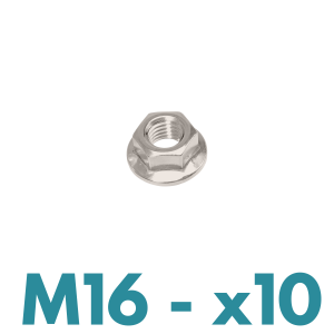 - FDS_DIN 6923 Galvanized Steel M16 Flanged Nut Kit of 10  - FDS_DIN 6923 Galvanized Steel M16 Flanged Nut Kit of 10