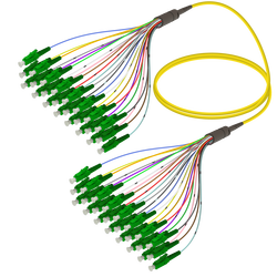 LC/APC-LC/APC | 24 Fiber Fanout | Single Mode G657.A2 | 3.0/0.9mm - Thumbnail