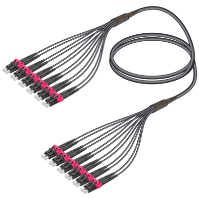 LC/UPC-LC/UPC | 12 Fibers Universal Fanout | Multi Mode G651.OM4 | 4.8/1.8mm LC/UPC-LC/UPC | 12 Fibers Universal Fanout | Multi Mode G651.OM4 | 4.8/1.8mm