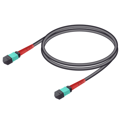 MTP Elite Dişi-Dişi Universal Patch Cord | Base-24 | Multi Mode G651.OM3 | 4.8mm MTP Elite Dişi-Dişi Universal Patch Cord | Base-24 | Multi Mode G651.OM3 | 4.8mm