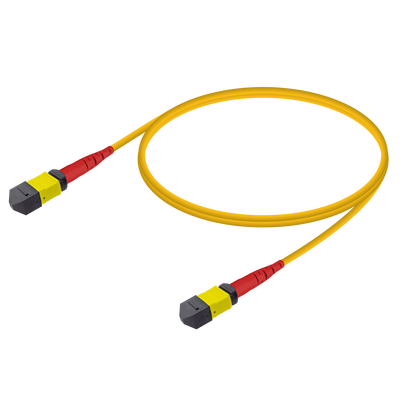 MTP Elite Dişi-Dişi Patch Cord | Base-24 | Single Mode G657.A2 | 3.0mm