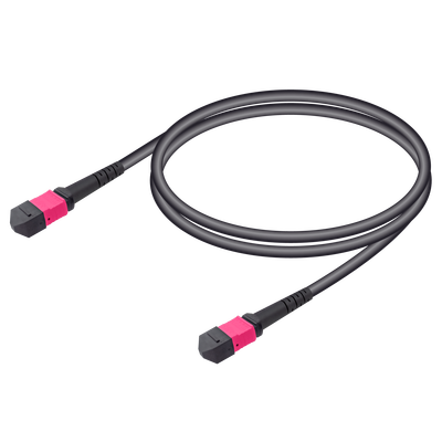 MTP Elite Dişi-Dişi Universal Patch Cord | Base-12 | Multi Mode G651.OM4 | 4.8mm