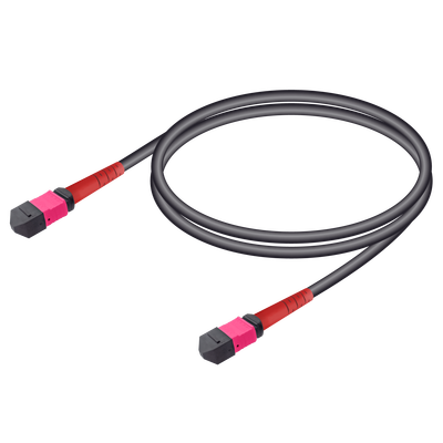 MTP Elite Erkek-Erkek Universal Patch Cord | Base-24 | Multi Mode G651.OM4 | 4.8mm