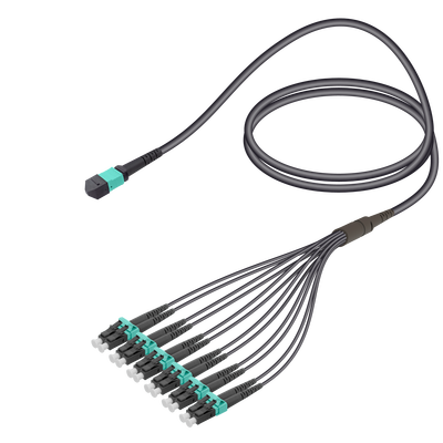 MTP Elite Erkek-LC/UPC Universal | Base-12 | Multi Mode G651.OM3 | 4.8/1.8mm