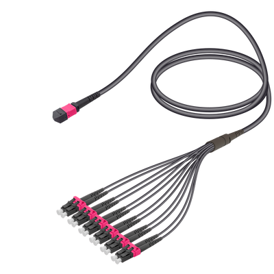 MTP Elite Erkek-LC/UPC Universal | Base-12 | Multi Mode G651.OM4 | 4.8/1.8mm