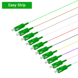 SC/APC 12 Fiber Pigtail | Single Mode G657.A2 | 0.9mm SC/APC 12 Fiber Pigtail | Single Mode G657.A2 | 0.9mm