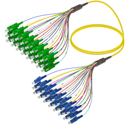 SC/APC-LC/UPC | 24 Fiber Fanout | Single Mode G657.A2 | 3.0/0.9mm SC/APC-LC/UPC | 24 Fiber Fanout | Single Mode G657.A2 | 3.0/0.9mm