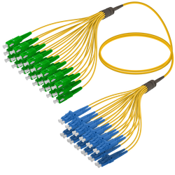 SC/APC-LC/UPC | 24 Fiber Fanout | Single Mode G657.A2 | 3.0/1.8mm
