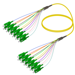 SC/APC-SC/APC | 12 Fibers Fanout | Single Mode G657.A2 | 3.0/0.9mm - Thumbnail