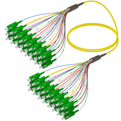 SC/APC-SC/APC | 24 Fiber Fanout | Single Mode G657.A2 | 3.0/0.9mm - Thumbnail