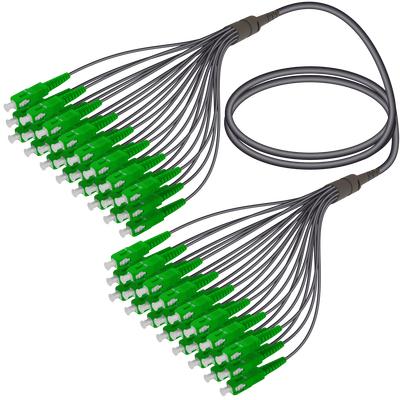 SC/APC-SC/APC | 24 Fiber Universal Fanout | Single Mode G657.A2 | 4.8/1.8mm SC/APC-SC/APC | 24 Fiber Universal Fanout | Single Mode G657.A2 | 4.8/1.8mm