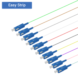 SC/UPC 12 Fiber Pigtail | Single Mode G657.A2 | 0.9mm