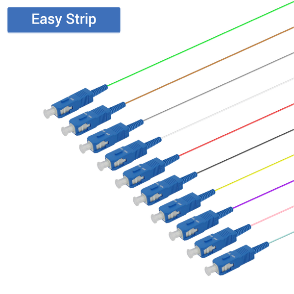SC/UPC 12 Fiber Pigtail | Single Mode G657.A2 | 0.9mm