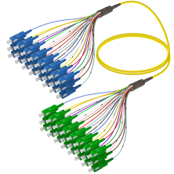 Samm Teknoloji - SC/UPC-SC/APC | 24 Fiber Fanout | Single Mode G657.A2 | 3.0/0.9mm Samm Teknoloji - SC/UPC-SC/APC | 24 Fiber Fanout | Single Mode G657.A2 | 3.0/0.9mm