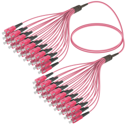 Samm Teknoloji - SC/UPC-SC/UPC | 24 Fiber Fanout | Multi Mode G651.OM4 | 3.0/1.8mm Samm Teknoloji - SC/UPC-SC/UPC | 24 Fiber Fanout | Multi Mode G651.OM4 | 3.0/1.8mm