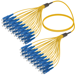 SC/UPC-SC/UPC | 24 Fiber Fanout | Single Mode G657.A2 | 3.0/1.8mm SC/UPC-SC/UPC | 24 Fiber Fanout | Single Mode G657.A2 | 3.0/1.8mm