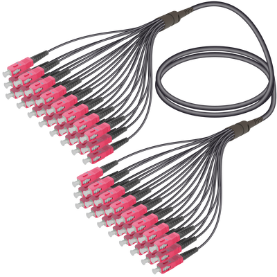 SC/UPC-SC/UPC | 24 Fiber Universal Fanout | Multi Mode G651.OM4 | 4.8/1.8mm