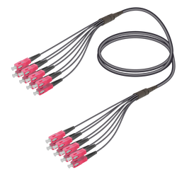 Samm Teknoloji - SC/UPC-SC/UPC | 8 Fiber Universal Fanout | Multi Mode G651.OM4 | 4.8/1.8mm Samm Teknoloji - SC/UPC-SC/UPC | 8 Fiber Universal Fanout | Multi Mode G651.OM4 | 4.8/1.8mm